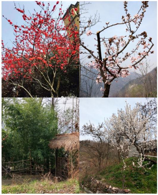 D:\我的文档\桌面\新建文件夹\03.JPG